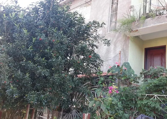 Pertinho Da Mata