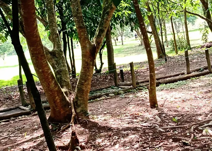 Pertinho Da Mata