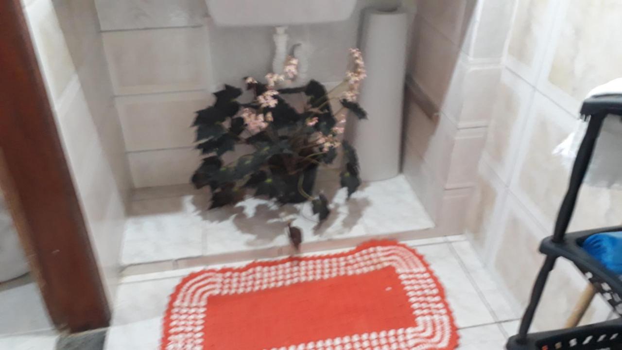 Pertinho Da Mata